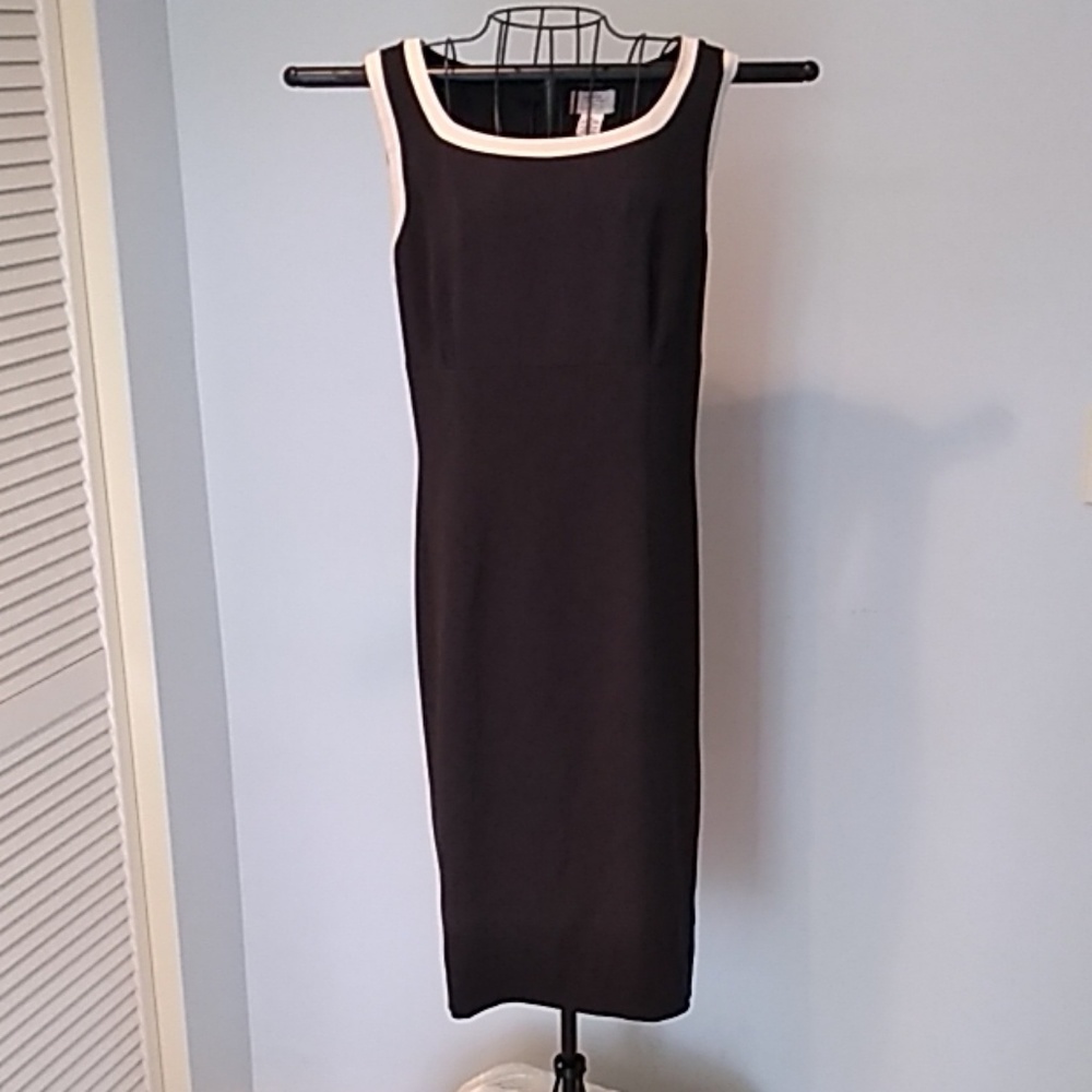 Ann Taylor LOFT dress